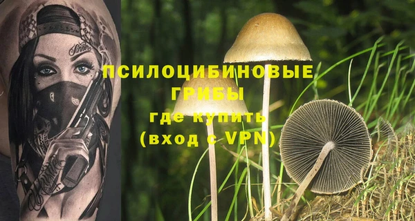 спиды Михайловск