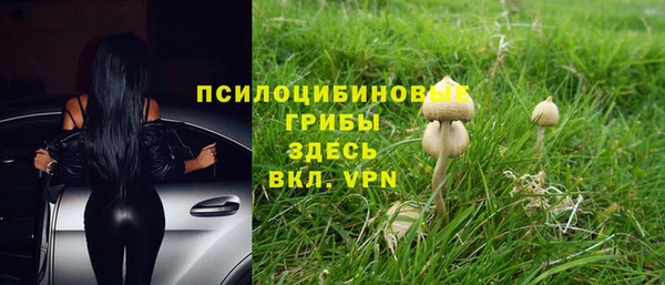 прущая мука Шарыпово