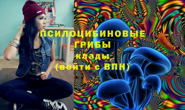 a pvp Михайлов