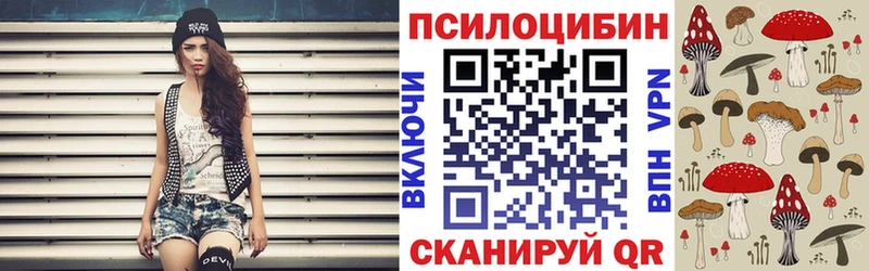 Псилоцибиновые грибы Psilocybine cubensis Чадан