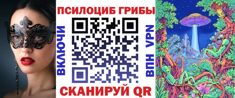 купить закладку  Чадан  Галлюциногенные грибы MAGIC MUSHROOMS 